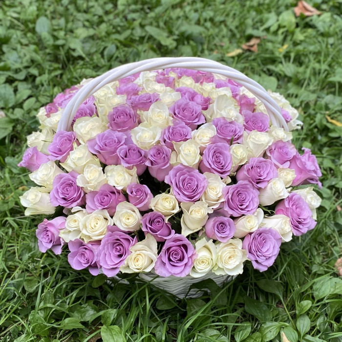 101 белая и сиреневая роза в корзине